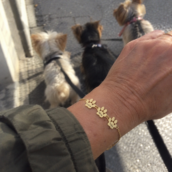 Pulseira personalizada com patas Luna, Nina e Toby durante um passeio